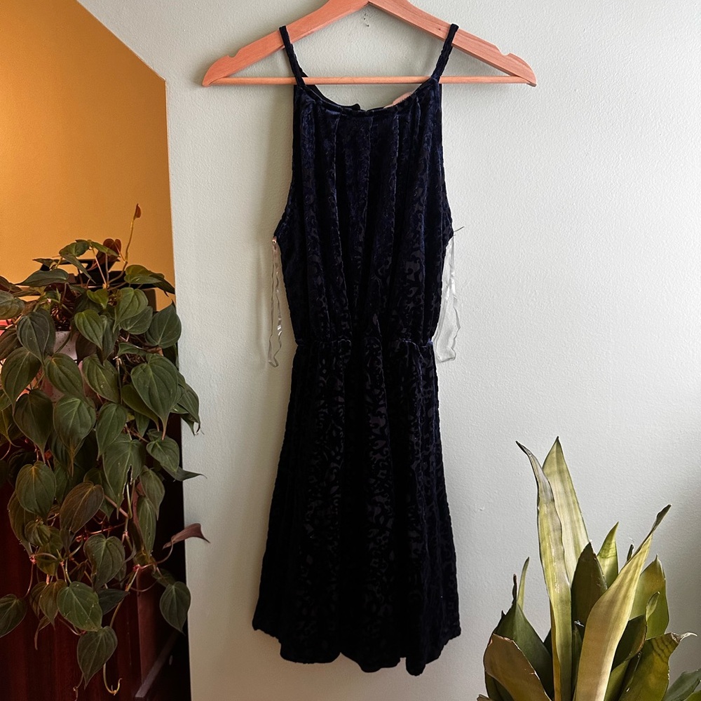 Elegant Black and Navy Velvet Dress